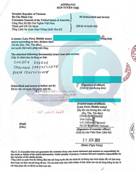 Consular Authentication - English to Vietnamese Translation for Work Permit by Thao & Co.