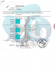 German to Vietnamese Notarized Translation of Birth Certificate by Thao & Co.