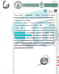 Spanish - English to Vietnamese Notarized Translation of Adoption Application by Thao & Co.