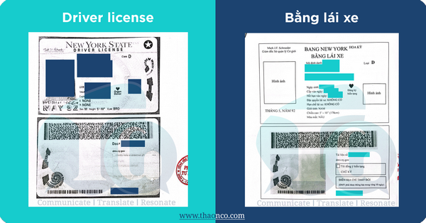 Certified Translation of Driver's License Example - Thao & Co.